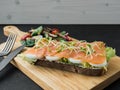 Smoked salmon bruschetta and salad on a wonden board Royalty Free Stock Photo