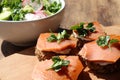 Smoked salmon canapes on rye bread with cream cheese and parsley on cut board and fresh vegetable salad in white bowl Royalty Free Stock Photo