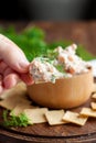 Smoked salmon and cream cheese dip with crackers Royalty Free Stock Photo