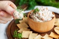 Smoked salmon and cream cheese dip with crackers Royalty Free Stock Photo