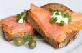 Smoked Salmon Sandwich Royalty Free Stock Photo