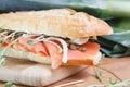 Smoked salmon sandwich on cutting board Royalty Free Stock Photo