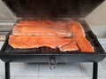 Smoked salmon trout fillets in barbecue Royalty Free Stock Photo