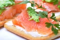 Smoked salmon with wasabi on cracker