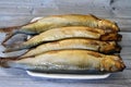 Smoked salty Herring forage fishes, salt-cured and smoked, also known as silver darlings, harvested for their flesh and eggs, and