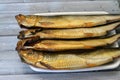 Smoked salty Herring forage fishes, salt-cured and smoked, also known as silver darlings, harvested for their flesh and eggs, and