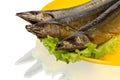 Smoked saury Royalty Free Stock Photo