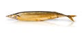 The Smoked Saury Royalty Free Stock Photo