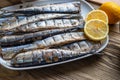 Smoked saury on a white dish in the form of fish with lemon and herbs Royalty Free Stock Photo
