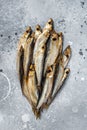 Smoked sprat fishes marinated with spices. Gray background. Top view