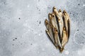 Smoked sprat fishes marinated with spices. Gray background. Top view. Copy space