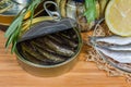 Smoked sprats in open tin can among other fish closeup