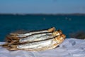 Smoked sprattus or sprats sea fish served outdoor with view on blue sea water