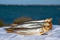 Smoked sprattus or sprats sea fish served outdoor with view on blue sea water