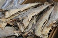 Smoked Stockfish cod fish dried for sale in the fish market in Royalty Free Stock Photo