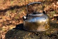 Smoked tin tea kettle stands in forest, fallen leaves nature background