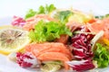 Smoked trout salad Royalty Free Stock Photo