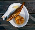 Smoked trout whole with horseradish and garnish. Gourmet grilled salmon fish on a plate. Delicious healthy meal made of Royalty Free Stock Photo