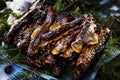 Smoked trouts on pine branch Royalty Free Stock Photo