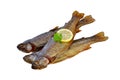 Smoked trouts Royalty Free Stock Photo