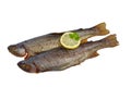 Smoked trouts Royalty Free Stock Photo