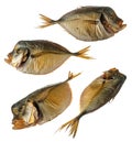 Smoked vomer fish, collage on white background isolated Royalty Free Stock Photo