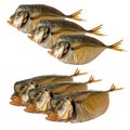 Smoked vomer fish, collage on white background isolated Royalty Free Stock Photo