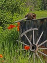 Smokehouse, wagon wheel and poppies Royalty Free Stock Photo