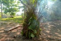 Smoker made from leaves and sticks - primitive cooking in the jungle Royalty Free Stock Photo