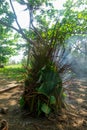 Smoker made from leaves and sticks - primitive cooking in the jungle Royalty Free Stock Photo