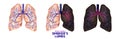 Smoker`s lungs set in low poly. Healthy lungs, sick lungs, cance