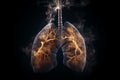 Smoker\'s smoky lungs isolated on dark background, 3D medical concept