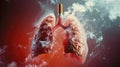 A smoker's lungs are spoiled sick from the tobacco smoke of cigarettes. The harm of smoking. banner Royalty Free Stock Photo