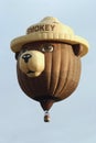 Smokey the Bear Hot Air Balloon Royalty Free Stock Photo