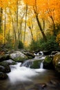 Smokey Mountains National in the fall Royalty Free Stock Photo