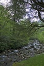 Smokey Mountains, Gap Road In Spring Royalty Free Stock Photo