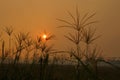 Smokey sunset after the bushfires Royalty Free Stock Photo