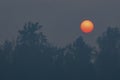 Smokey Sunset with silhouetted trees Royalty Free Stock Photo