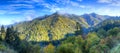 Smokies Royalty Free Stock Photo