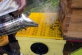 smoking bees to calm them down at an apiary in the Caribbean Royalty Free Stock Photo