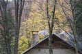 Smoking Cabin Chimneys