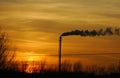 Smoking chimney of a factory in the sunset