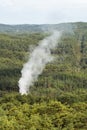 Smoking chimney in green forest