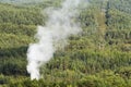 Smoking chimney in green forest