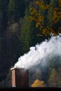 Smoking chimney of a house