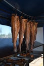 Smoking fish hanging side by side. Cod fish Royalty Free Stock Photo