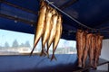 Smoking fish hanging side by side. Cod and mackerel fish Royalty Free Stock Photo