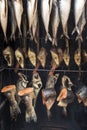 Smoking fish on hooks Royalty Free Stock Photo