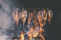 Smoking fish in a smokehouse.