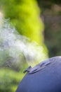 Smoking grill on the garden on a summer sunny day